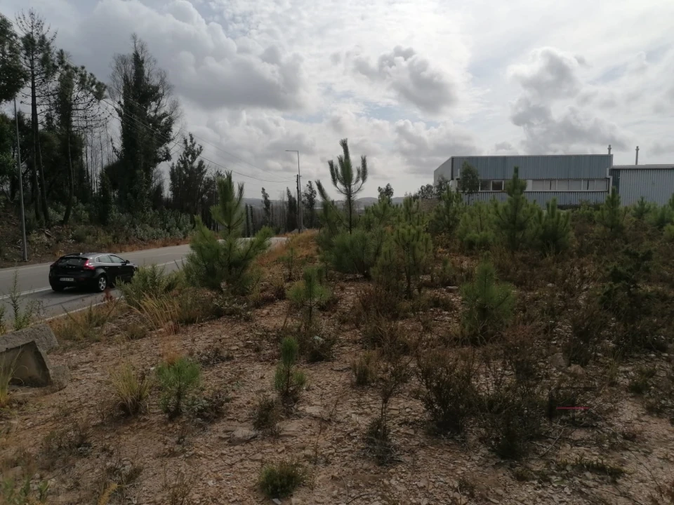 Terreno Comércio / Armazém para Venda em Fânzeres e São Pedro da Cova Foto 10
