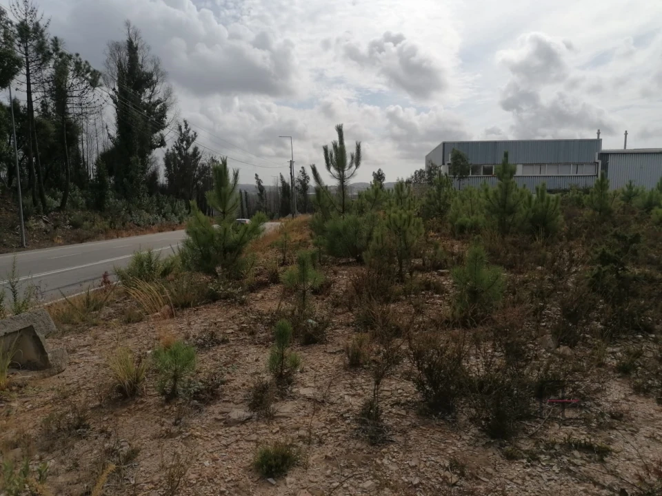 Terreno Comércio / Armazém para Venda em Fânzeres e São Pedro da Cova Foto 11