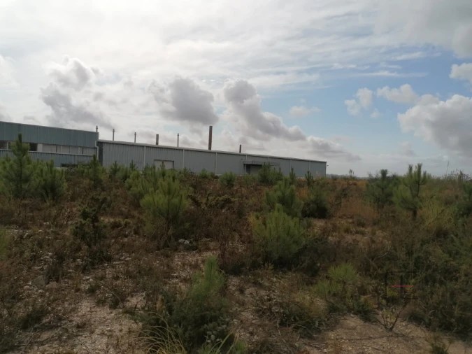 Terreno Comércio / Armazém para Venda em Fânzeres e São Pedro da Cova