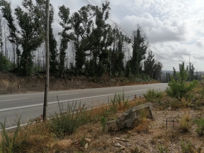 Terreno Comércio / Armazém para Venda em Fânzeres e São Pedro da Cova Foto 4