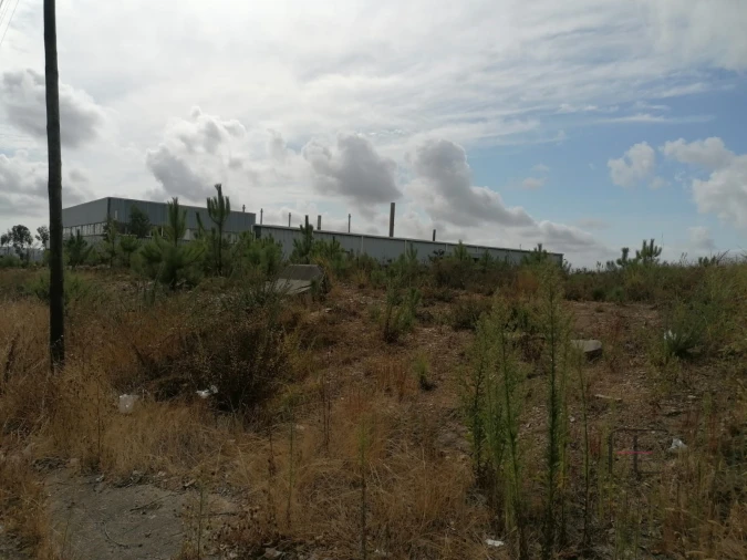 Terreno Comércio / Armazém para Venda em Fânzeres e São Pedro da Cova Foto 9