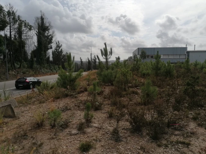 Terreno Comércio / Armazém para Venda em Fânzeres e São Pedro da Cova Foto 10