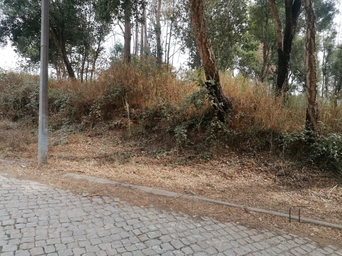 Terreno Comércio / Armazém para Venda em Fânzeres e São Pedro da Cova Foto 14