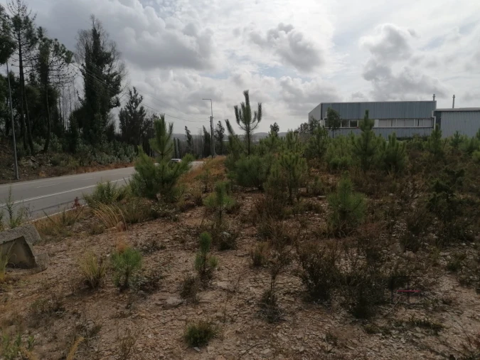 Terreno Comércio / Armazém para Venda em Fânzeres e São Pedro da Cova Foto 11