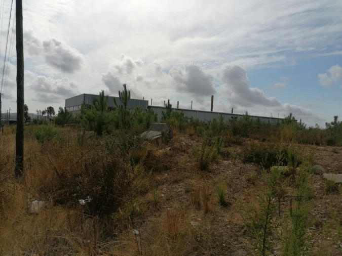Terreno Comércio / Armazém para Venda em Fânzeres e São Pedro da Cova Foto 8
