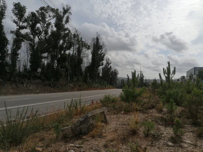 Terreno Comércio / Armazém para Venda em Fânzeres e São Pedro da Cova Foto 3