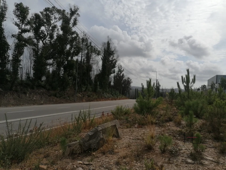 Terreno Comércio / Armazém para Venda em Fânzeres e São Pedro da Cova Foto 3