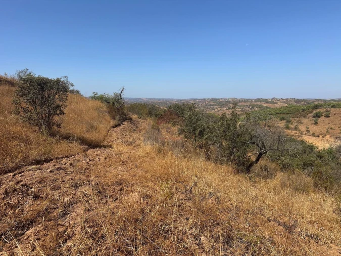 Terreno Agricola ou Rústico para Venda em Odeleite Foto 2