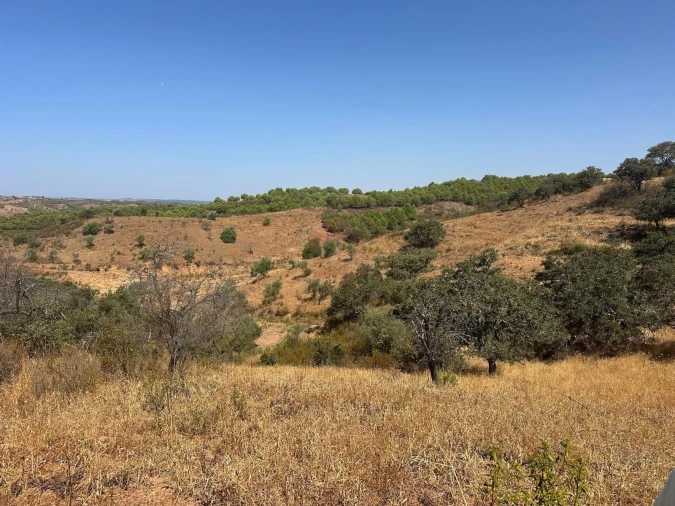 Terreno Agricola ou Rústico para Venda em Odeleite Foto 1