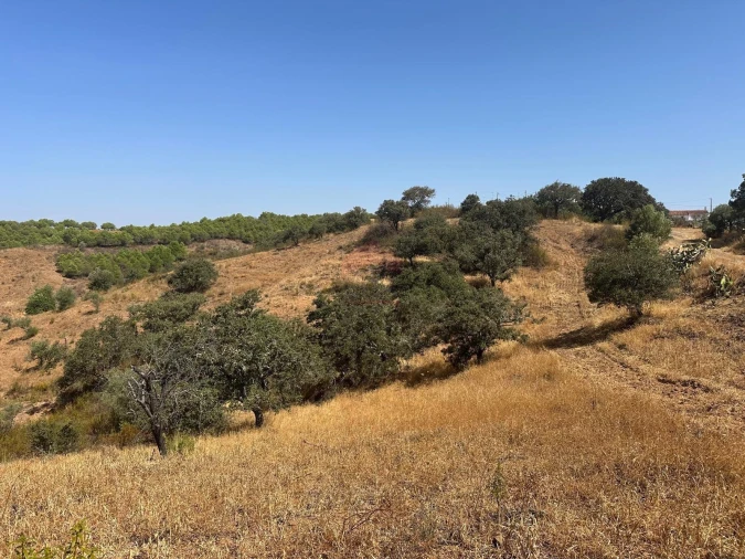 Terreno Agricola ou Rústico para Venda em Odeleite Foto 3