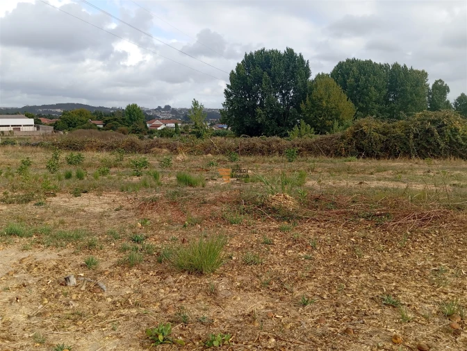 Terreno para Venda em Cidade da Maia Foto 7