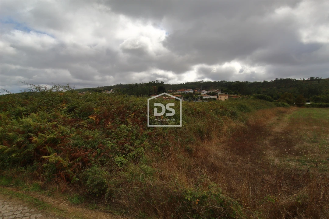 Terreno para Venda em Sobreira Foto 2