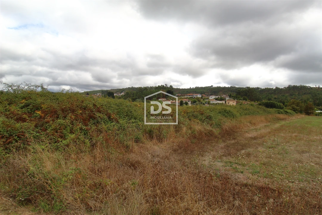 Terreno para Venda em Sobreira Foto 1