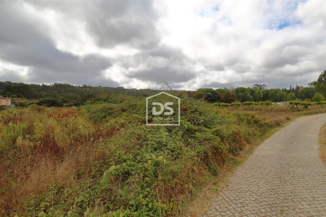 Terreno para Venda em Sobreira Foto 4