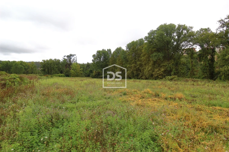 Terreno para Venda em Sobreira Foto 9