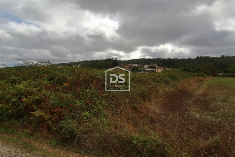 Terreno para Venda em Sobreira Foto 2