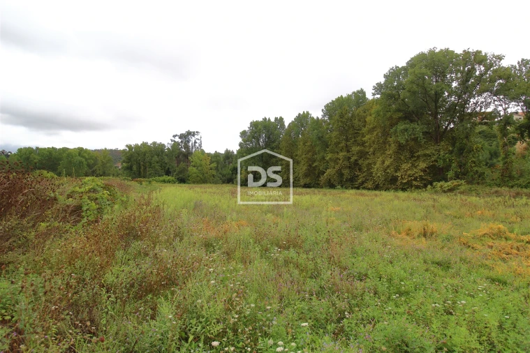 Terreno para Venda em Sobreira Foto 8