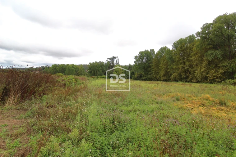 Terreno para Venda em Sobreira Foto 10