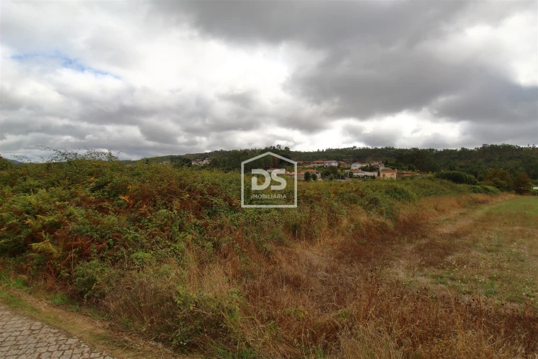 Terreno para Venda em Sobreira Foto 3