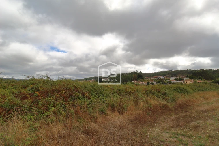 Terreno para Venda em Sobreira Foto 6
