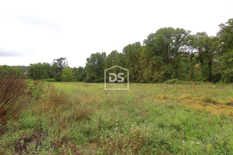 Terreno para Venda em Sobreira Foto 7