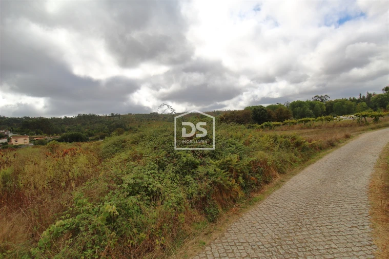 Terreno para Venda em Sobreira Foto 5