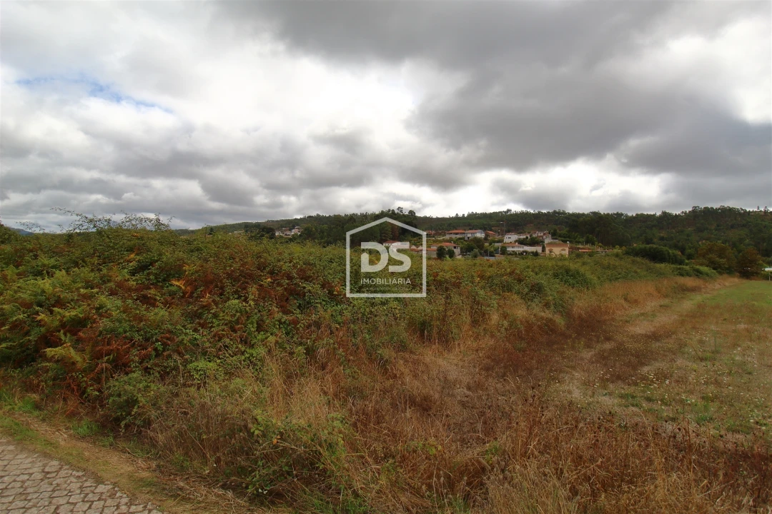Terreno para Venda em Sobreira Foto 3