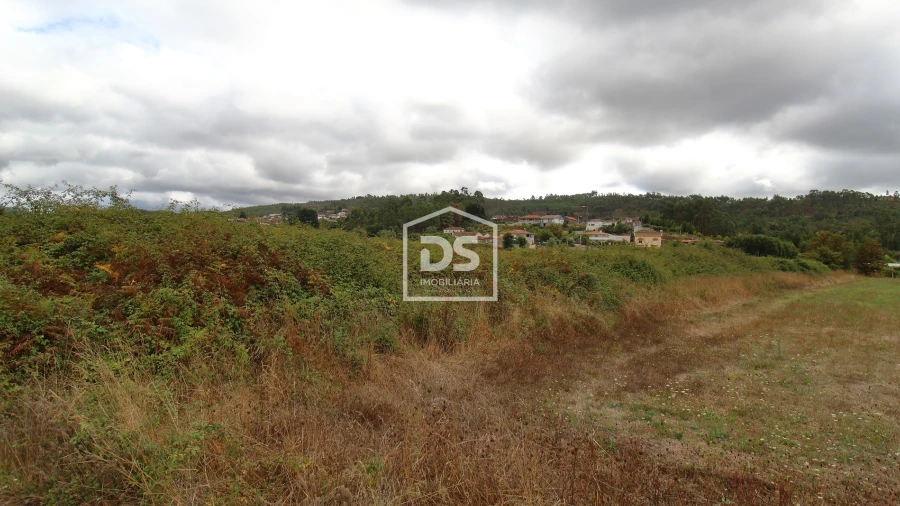 Terreno para Venda em Sobreira