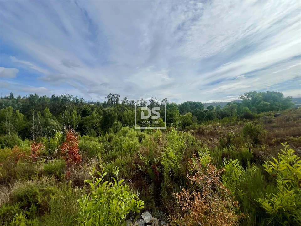 Terreno para Venda em Sobreira Foto 7