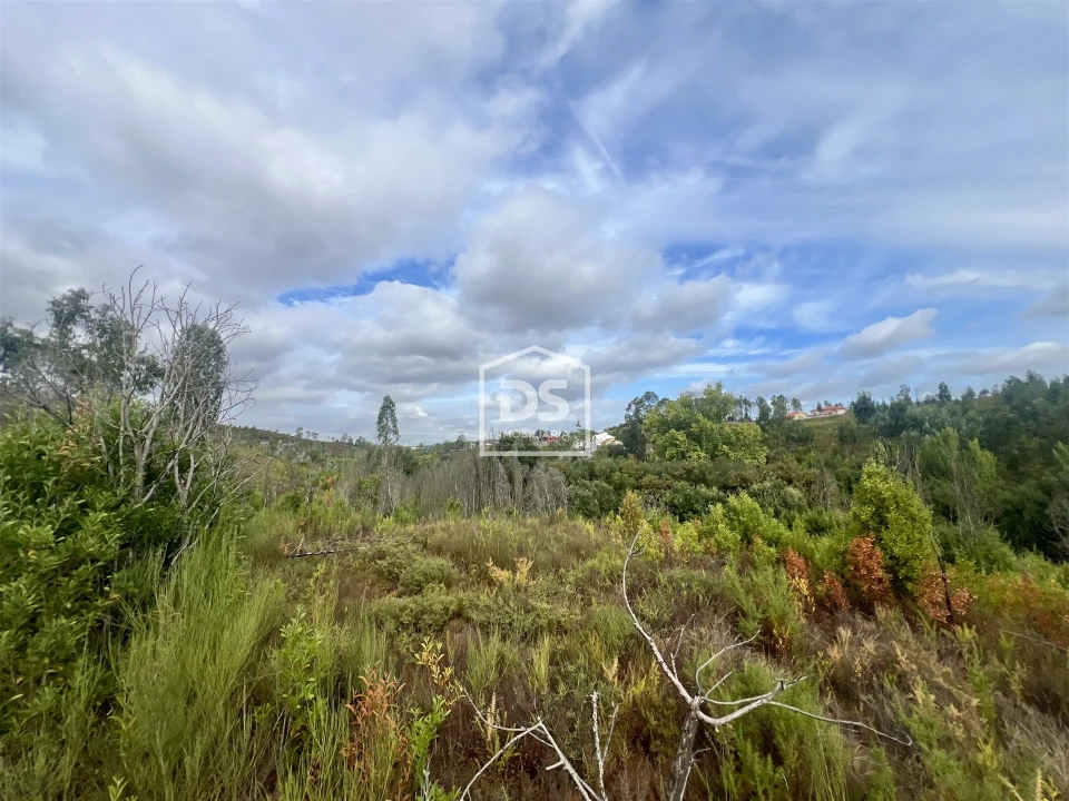 Terreno para Venda em Sobreira Foto 2