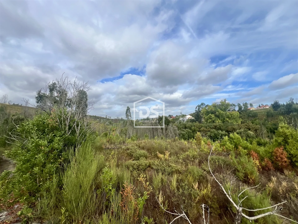 Terreno para Venda em Sobreira Foto 5