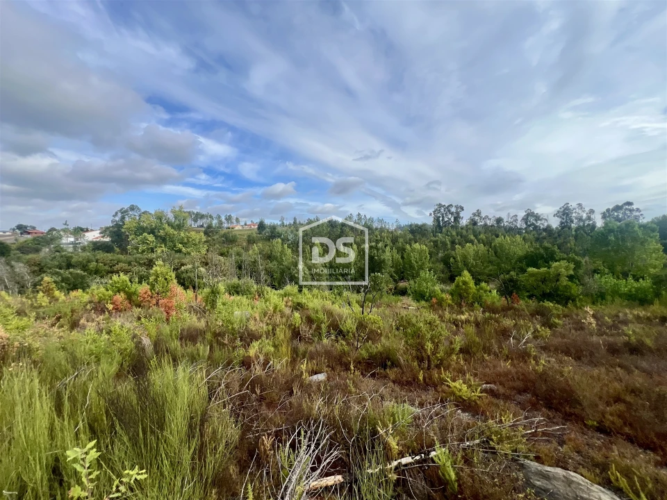 Terreno para Venda em Sobreira Foto 1