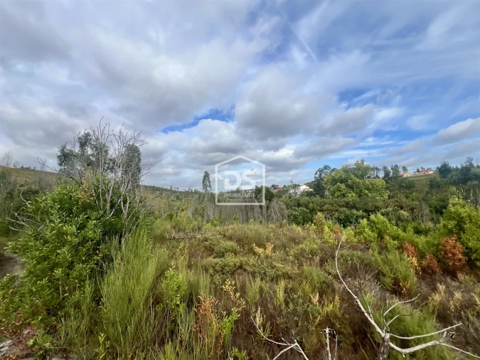 Terreno para Venda em Sobreira Foto 5