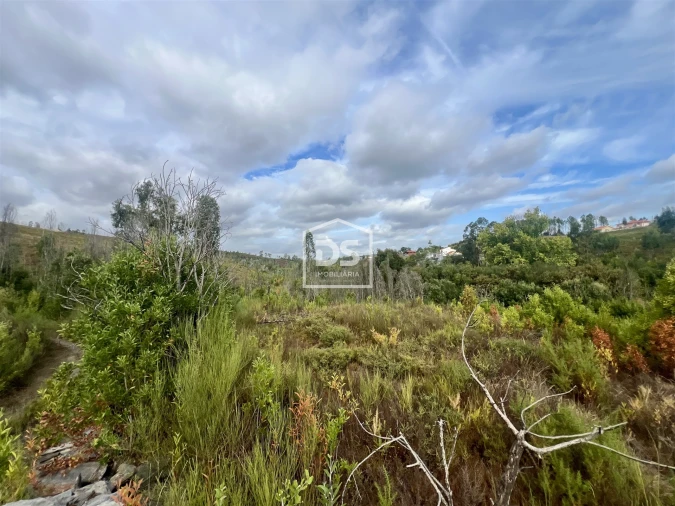 Terreno para Venda em Sobreira Foto 3