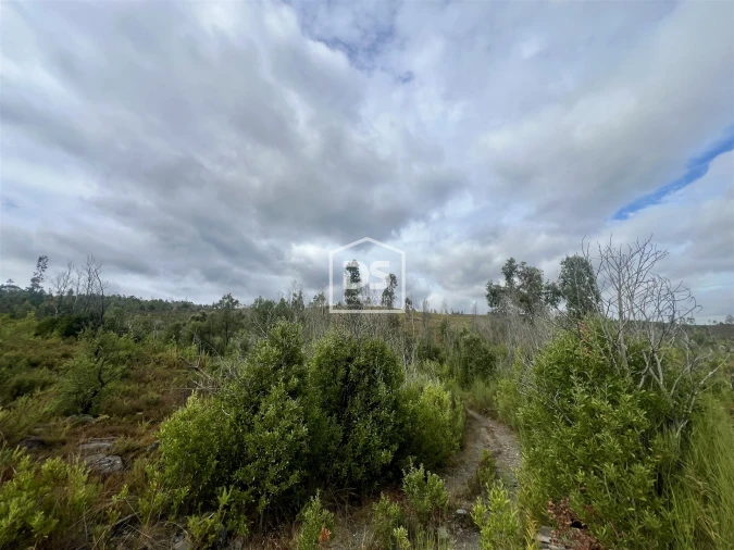 Terreno para Venda em Sobreira Foto 4