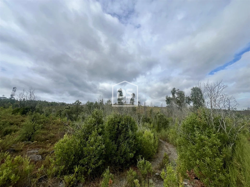 Terreno para Venda em Sobreira Foto 4