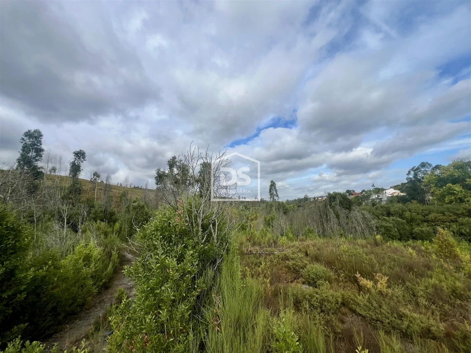 Terreno para Venda em Sobreira Foto 8