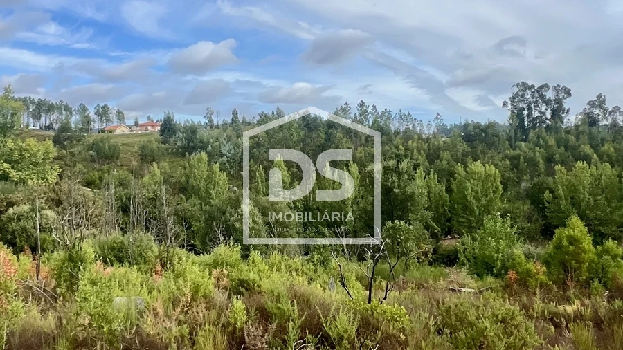 Terreno para Venda em Sobreira