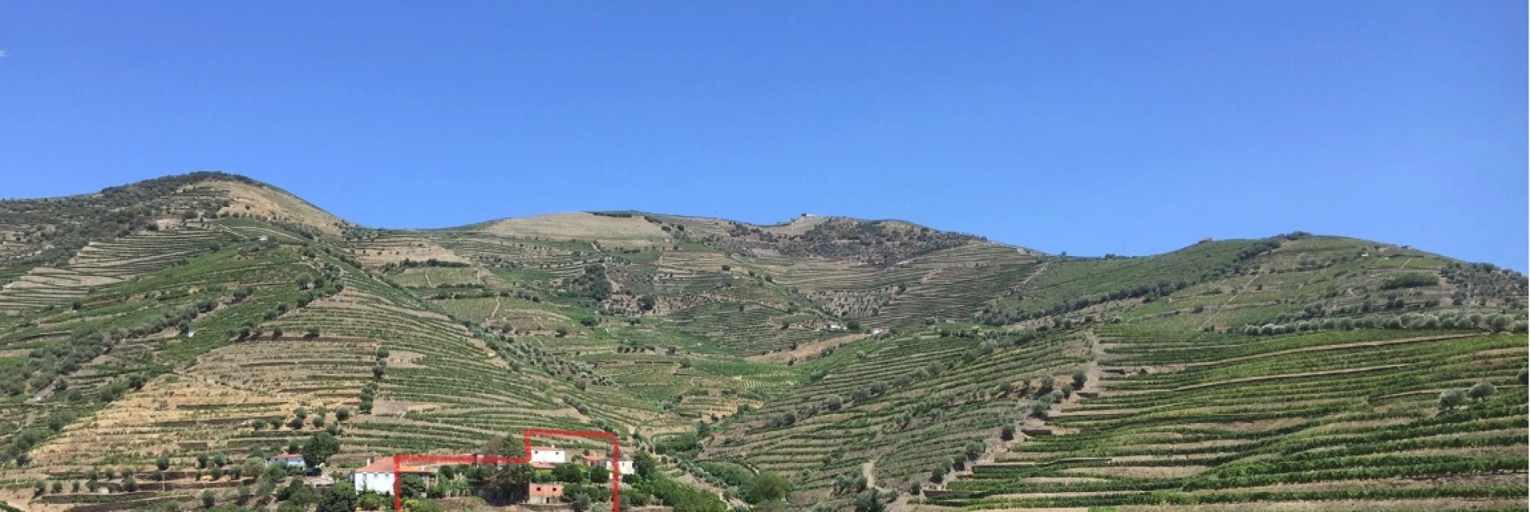 Quinta T0 para Venda em Ervedosa do Douro Foto 30