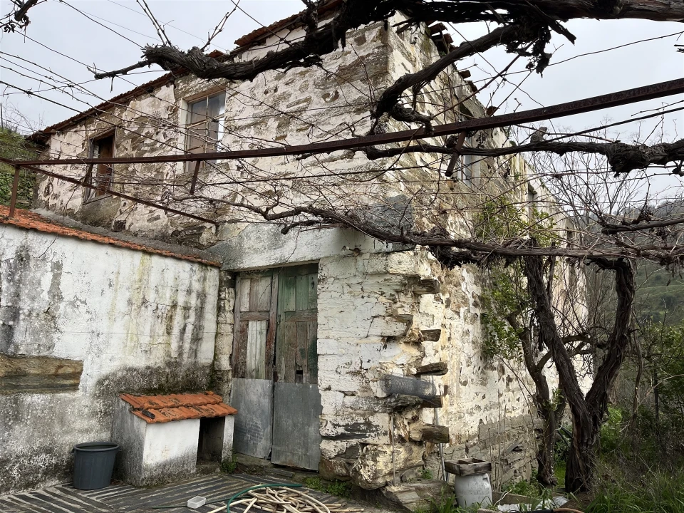 Quinta T0 para Venda em Ervedosa do Douro Foto 14