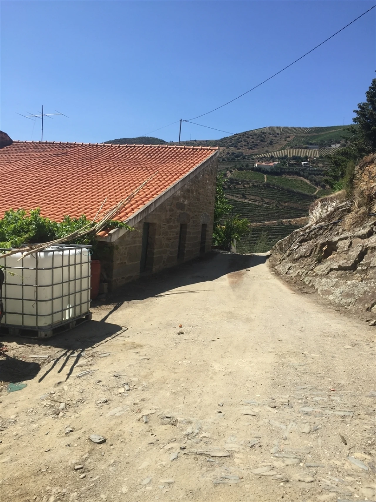 Quinta T0 para Venda em Ervedosa do Douro Foto 4