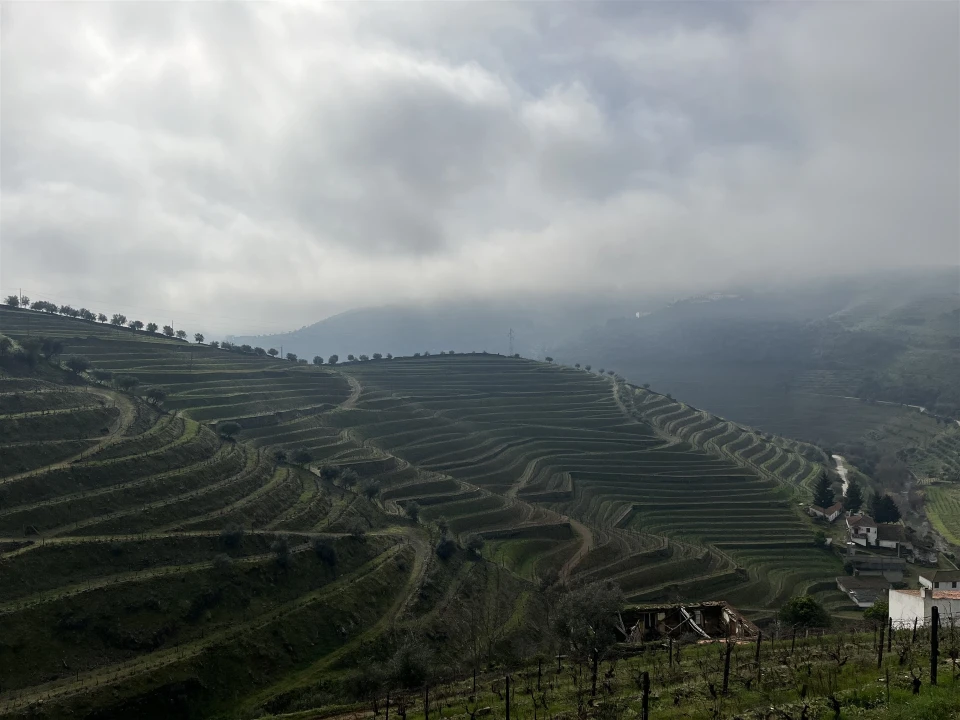 Quinta T0 para Venda em Ervedosa do Douro Foto 18