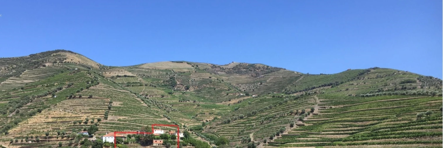 Quinta T0 para Venda em Ervedosa do Douro Foto 30