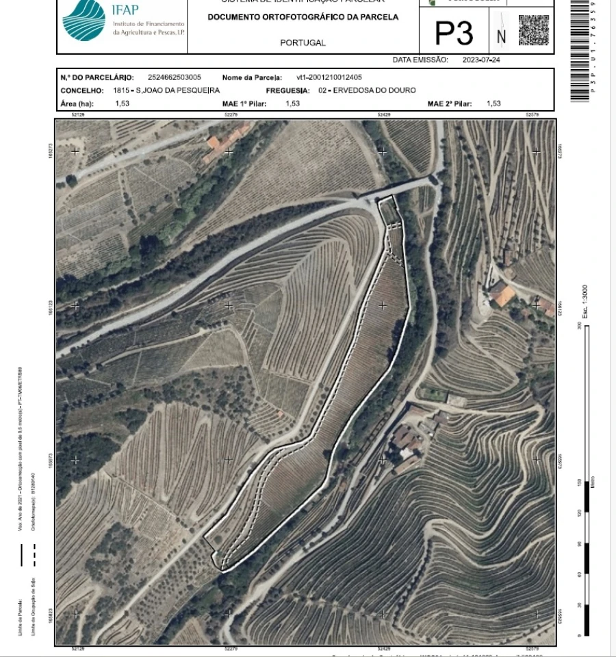 Quinta T0 para Venda em Ervedosa do Douro Foto 34