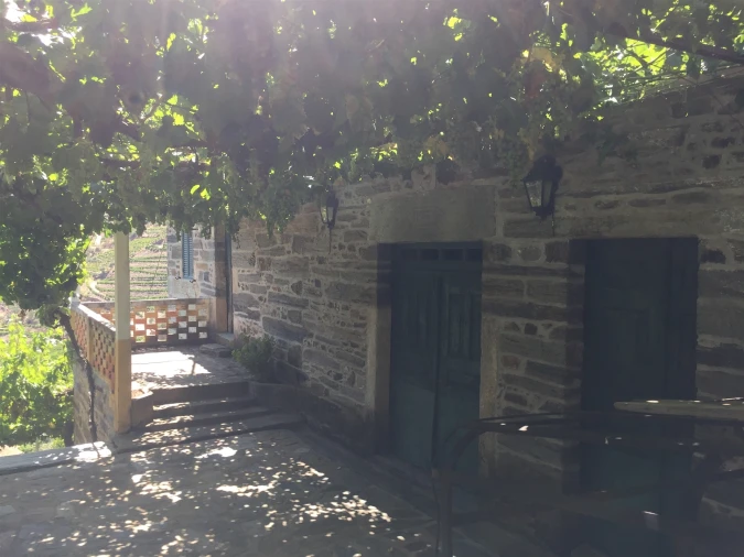 Quinta T0 para Venda em Ervedosa do Douro Foto 3