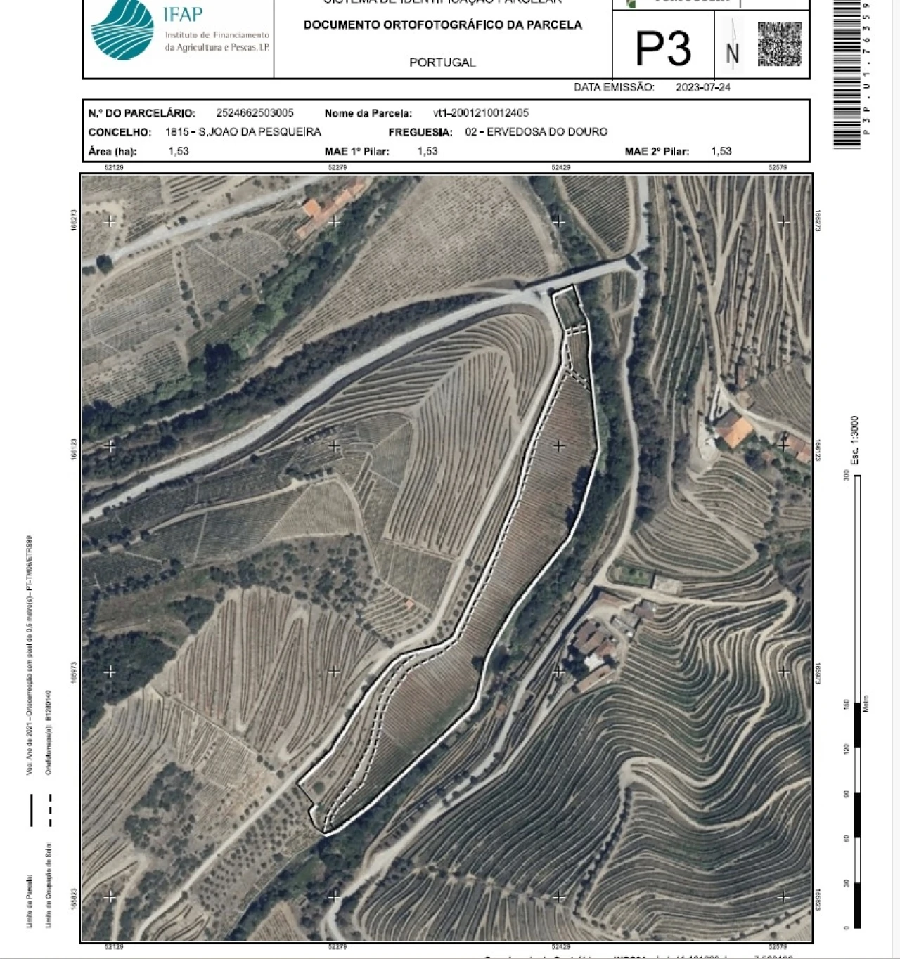 Quinta T0 para Venda em Ervedosa do Douro Foto 34