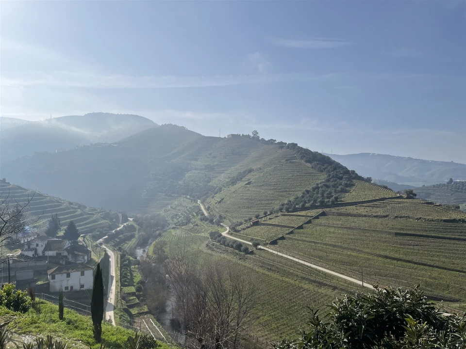 Quinta T0 para Venda em Ervedosa do Douro Foto 20