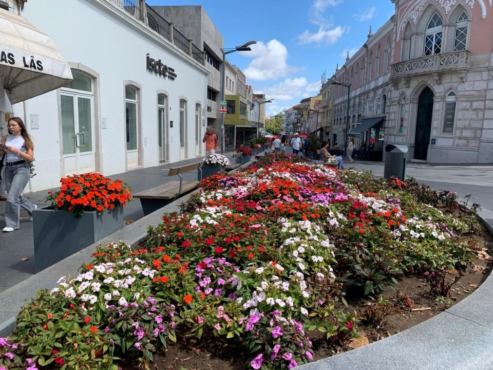 Apartamento T3 para Venda em Santa Maria e São Miguel, São Martinho, São Pedro Penaferrim Foto 2