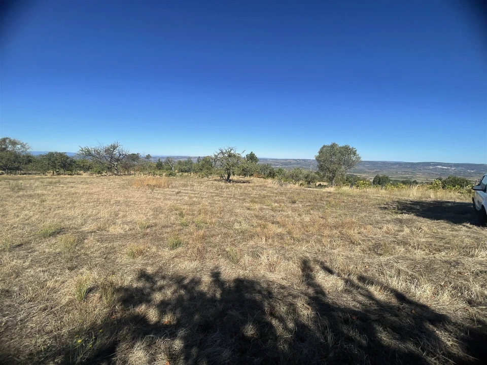 Quinta T3 para Venda em Melo e Nabais Foto 13