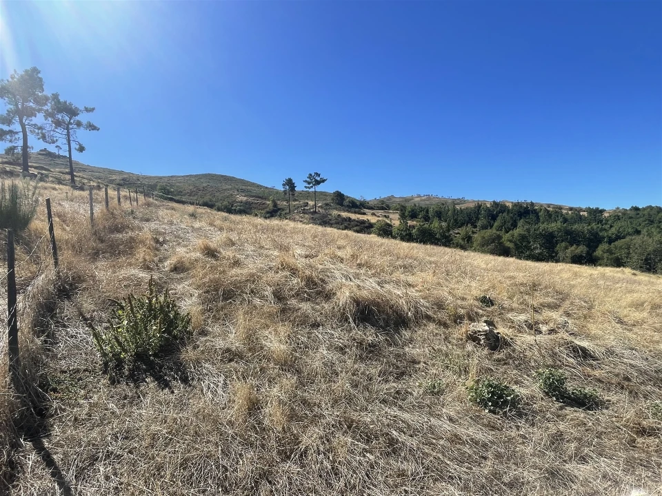 Quinta T3 para Venda em Melo e Nabais Foto 16